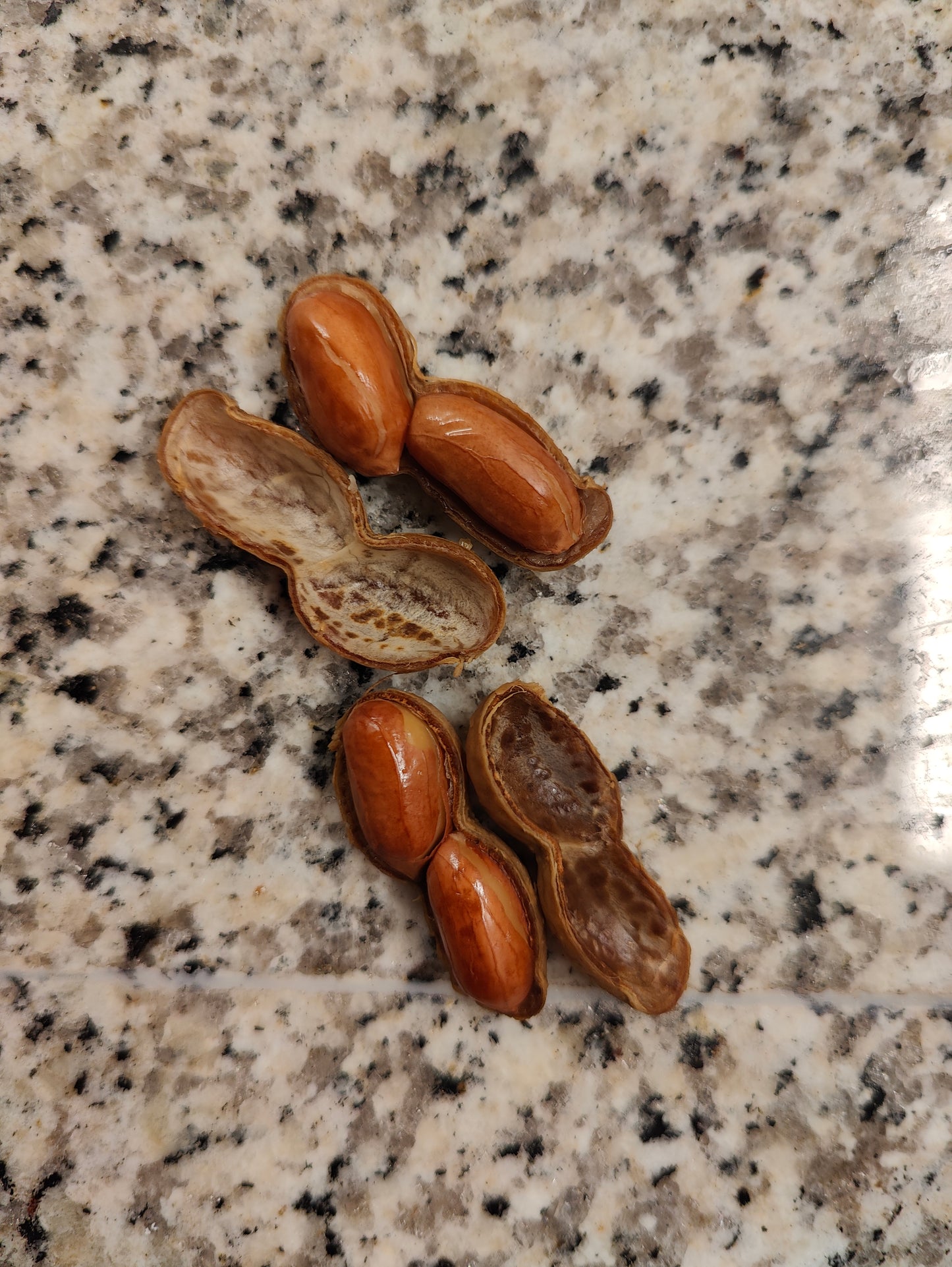 Boil-The-Bag Boiled Peanuts (2 Bags)
