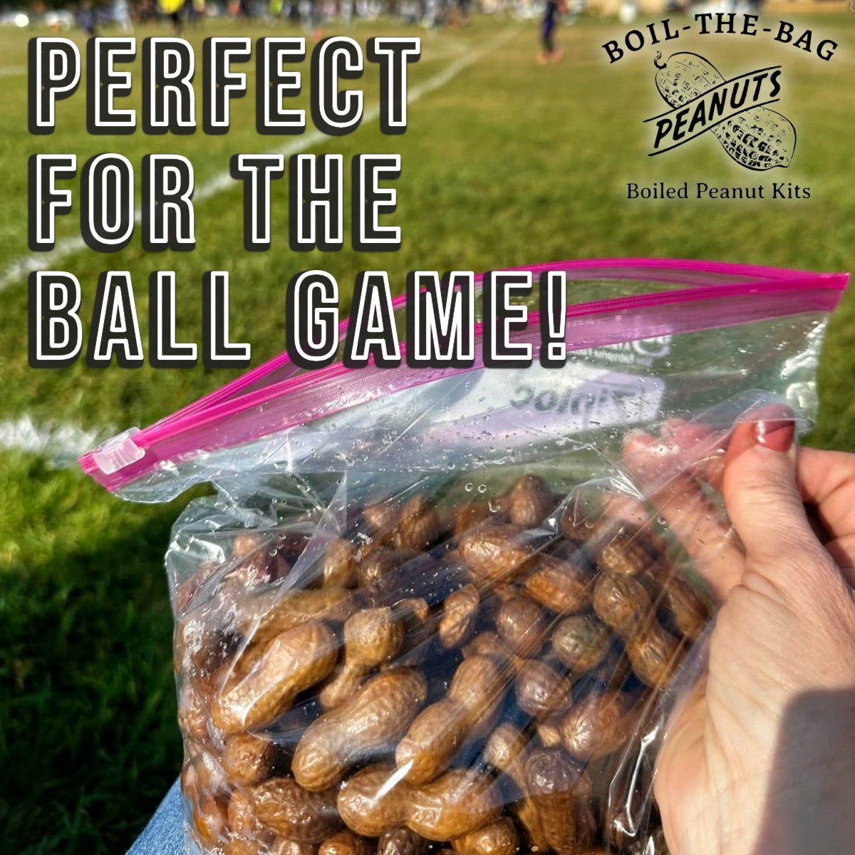 Boil-The-Bag Boiled Peanuts - (6 Bags)
