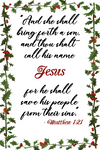 Christmas Card (Buy More...Save More)