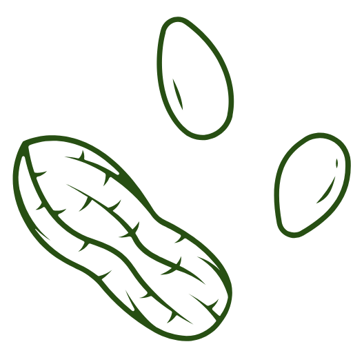 Natural peanut icon 