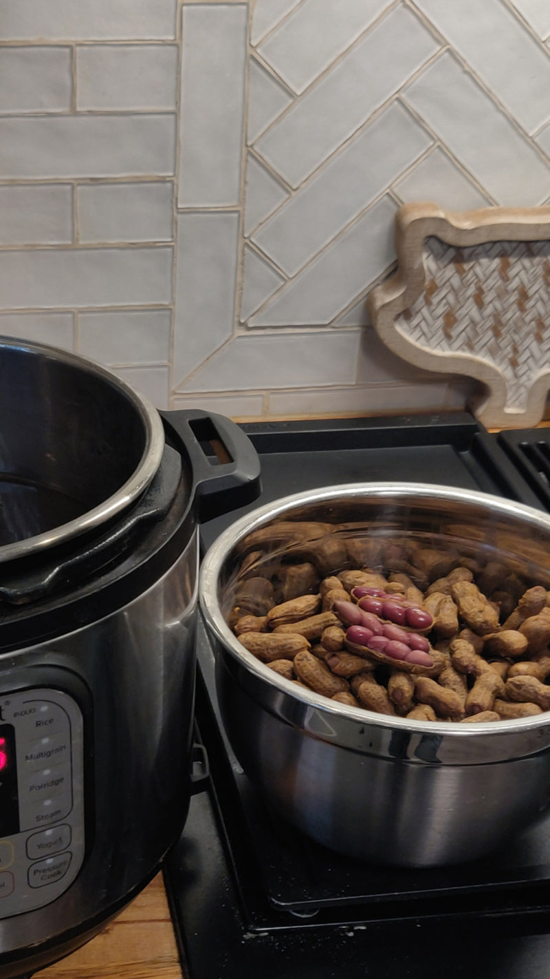 Homemade Boiled Peanuts Kit - Save $12. (6 Bags) - Boil-The-Bag